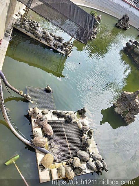 高雄之旅二