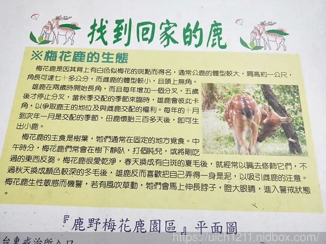 108台東跨年之旅二 - 第3張圖 108台東跨年之旅二