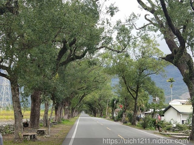 108台東跨年之旅二 - 第9張圖 108台東跨年之旅二