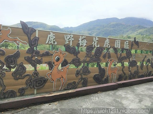 108台東跨年之旅二 - 第2張圖 108台東跨年之旅二