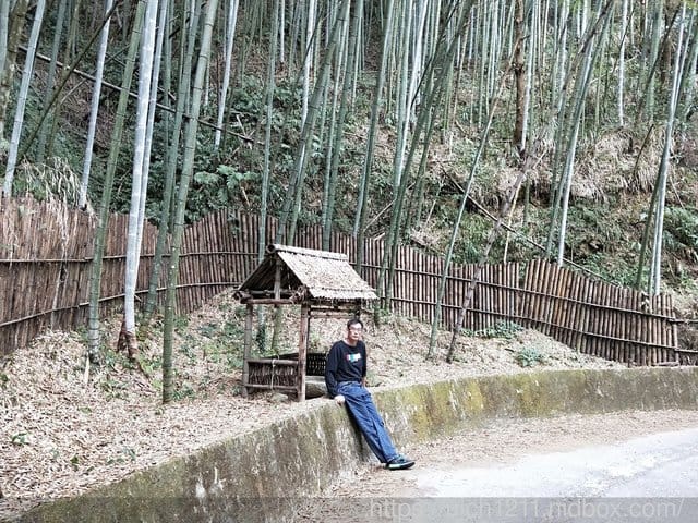 雲林二日遊