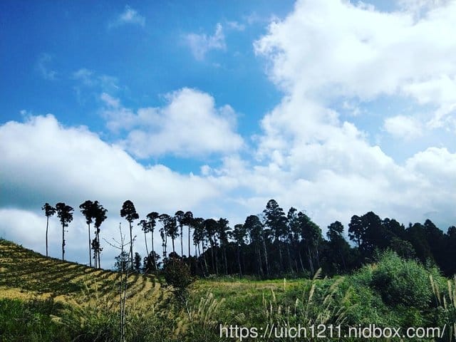 雲林二日遊