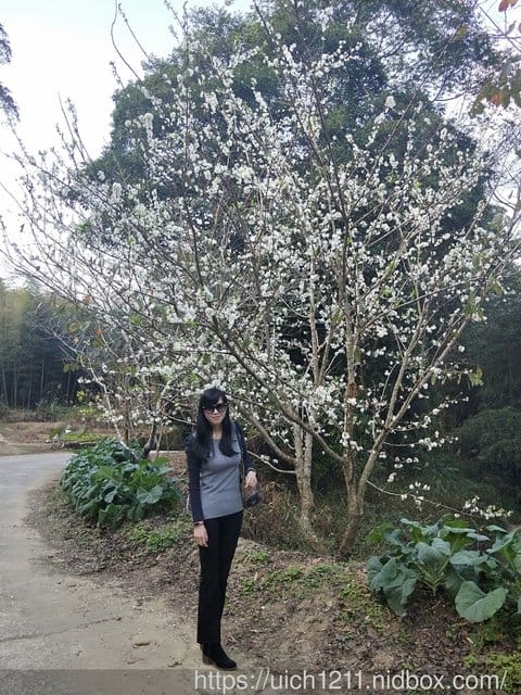 雲林二日遊
