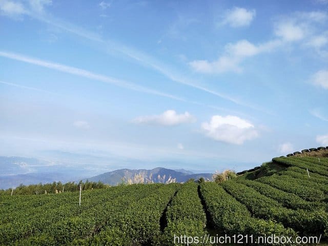 雲林二日遊