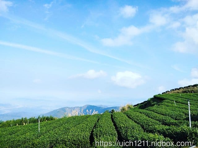雲林二日遊