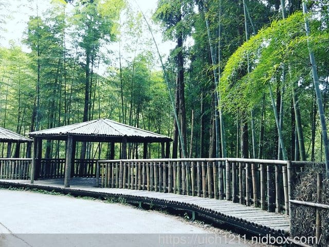 雲林二日遊