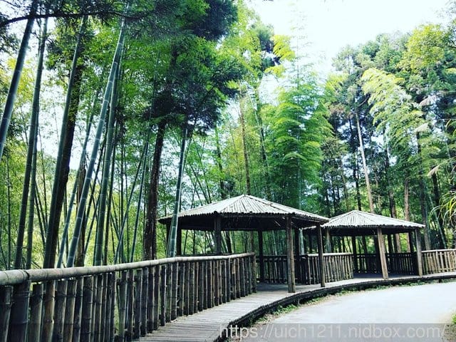 雲林二日遊