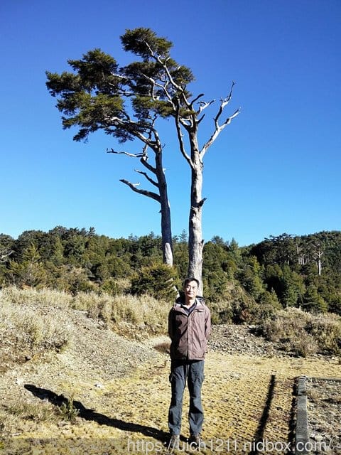 六順山 - 第22張圖 六順山