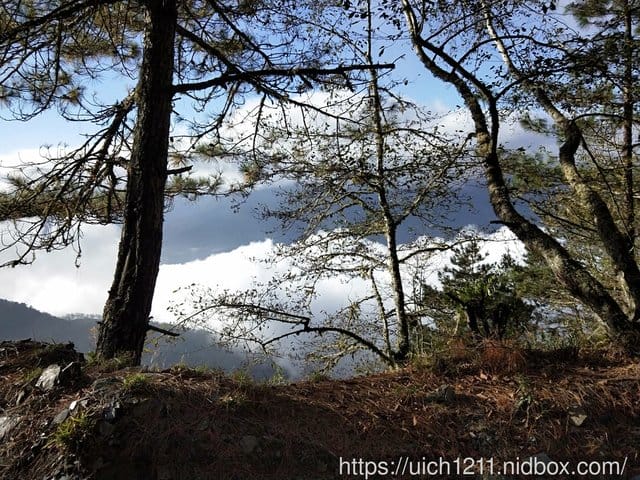 六順山 - 第43張圖 六順山