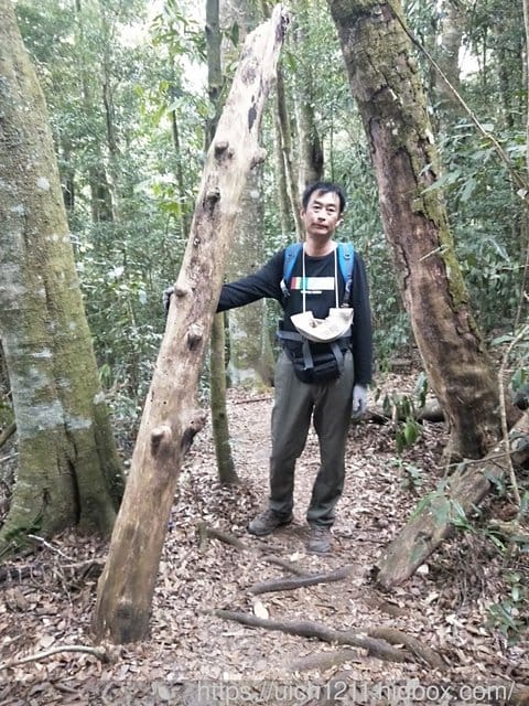 屋我尾