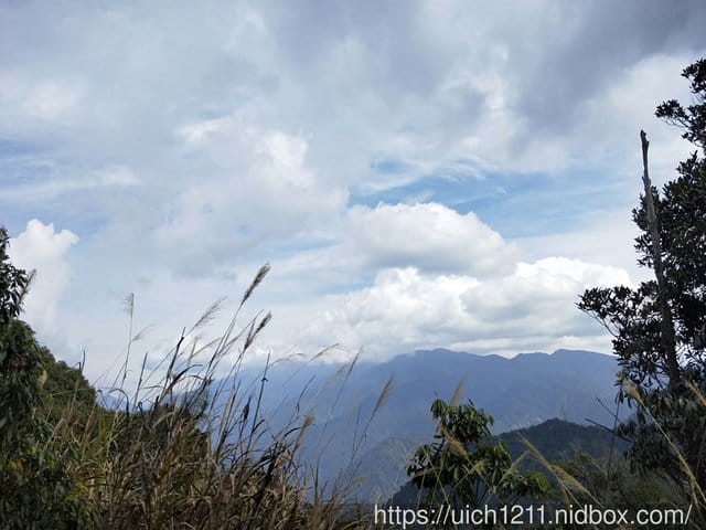 白毛山