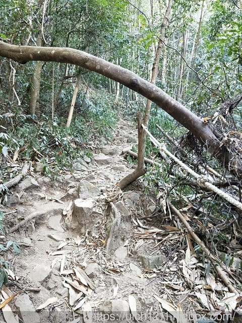 白毛山