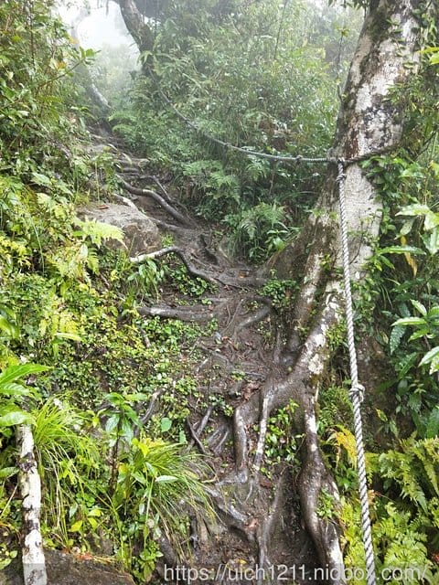 都蘭山