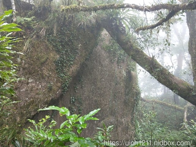 都蘭山