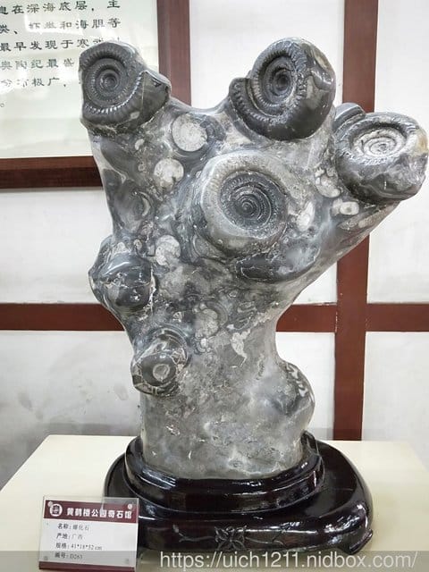 武漢黃鶴樓