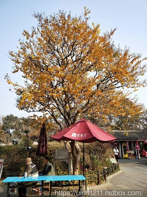 武漢黃鶴樓