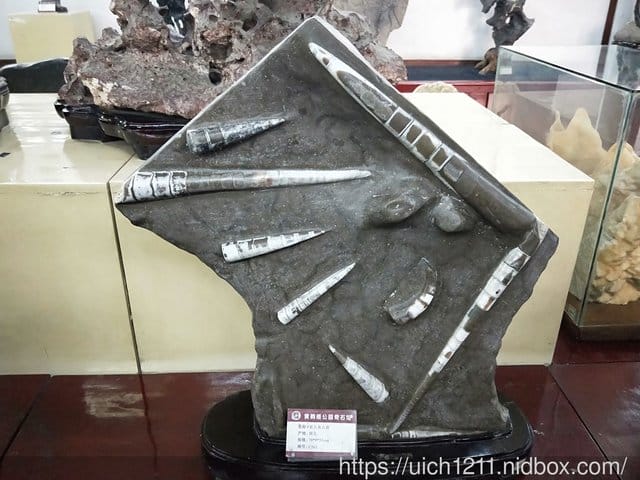 武漢黃鶴樓
