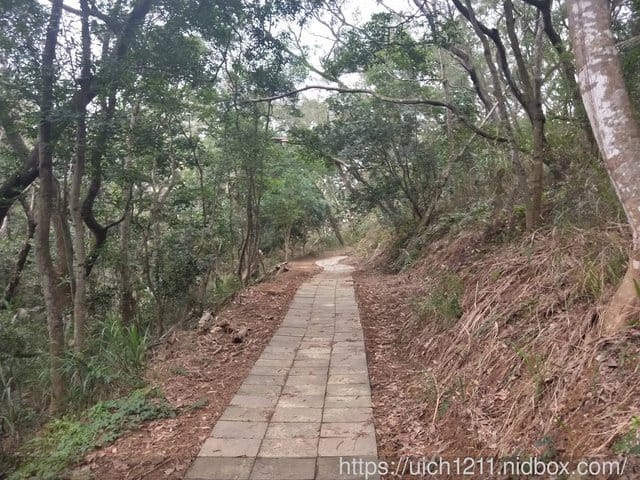 繞山花步道與加里山步道 - 第5張圖 繞山花步道與加里山步道