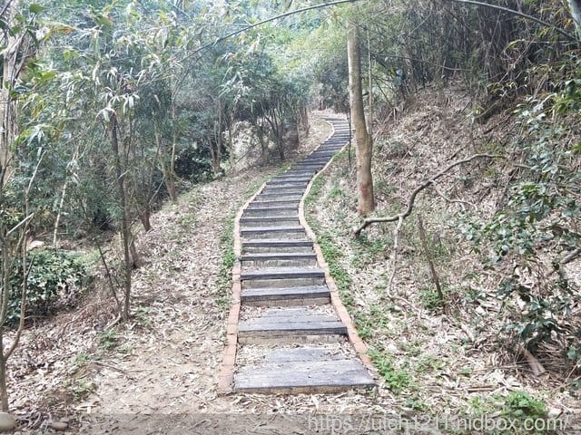 繞山花步道與加里山步道 - 第4張圖 繞山花步道與加里山步道