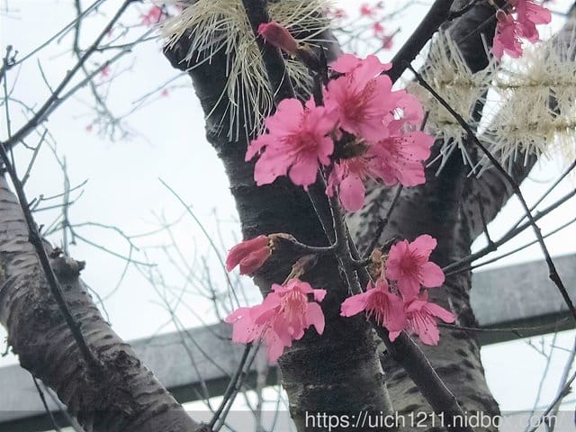 雅潭神步道 - 第15張圖 雅潭神步道