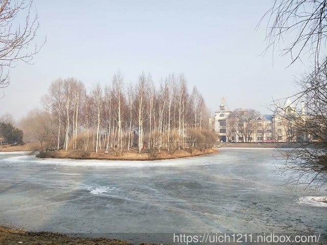 伏爾加莊園