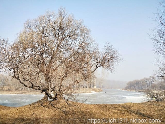 伏爾加莊園