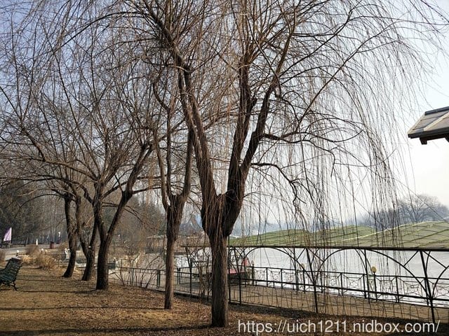 伏爾加莊園