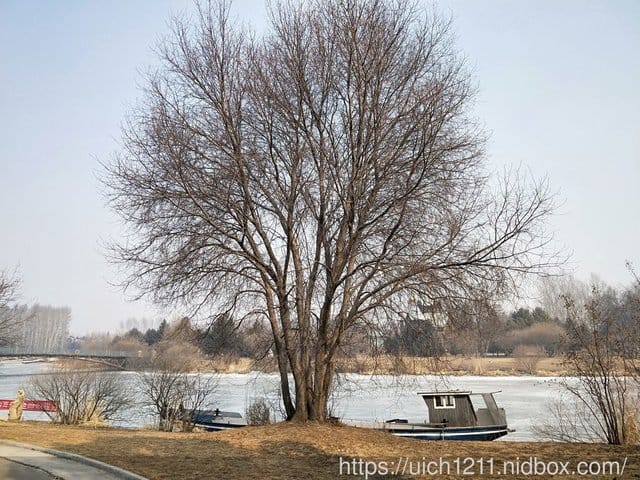 伏爾加莊園