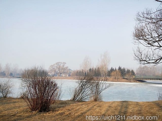 伏爾加莊園