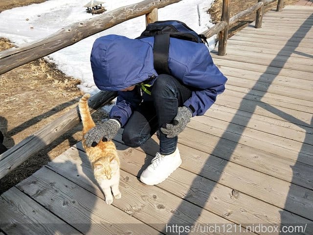 伏爾加莊園人物篇