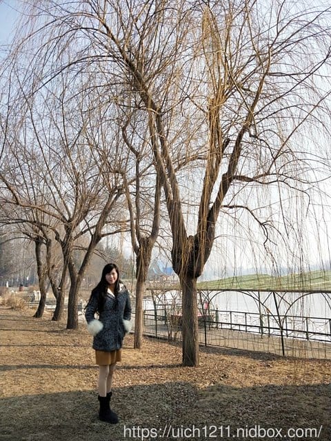 伏爾加莊園人物篇