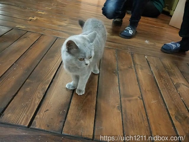 哈爾賓之旅~2