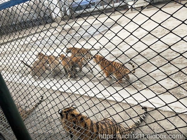 哈爾濱之旅完結篇 - 第18張圖 哈爾濱之旅完結篇
