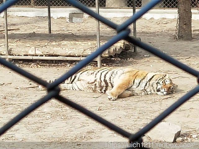 哈爾濱之旅完結篇 - 第16張圖 哈爾濱之旅完結篇