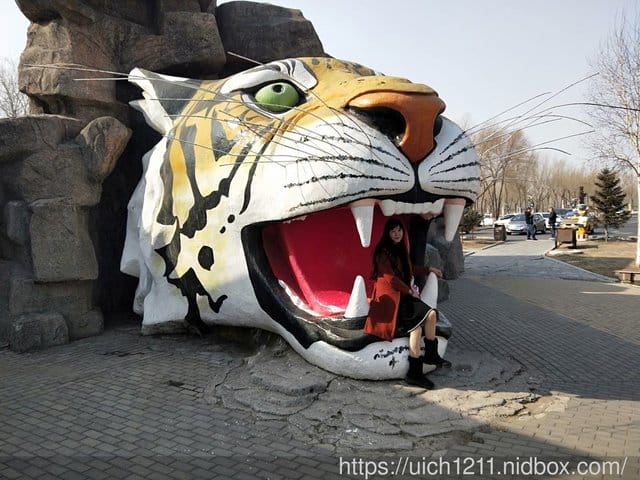 哈爾濱之旅完結篇 - 第3張圖 哈爾濱之旅完結篇