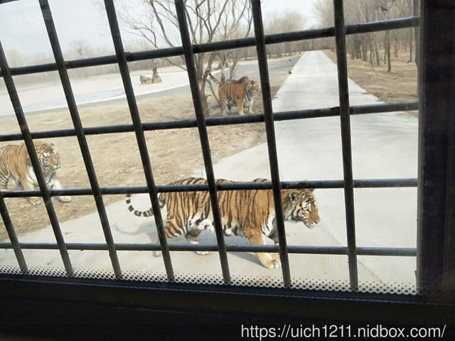 哈爾濱之旅完結篇 - 第12張圖 哈爾濱之旅完結篇