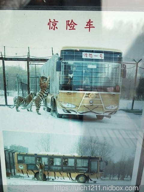 哈爾濱之旅完結篇 - 第8張圖 哈爾濱之旅完結篇