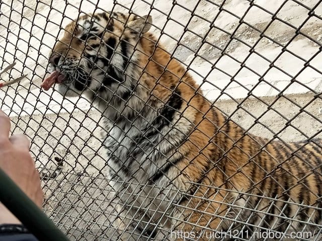 哈爾濱之旅完結篇 - 第17張圖 哈爾濱之旅完結篇
