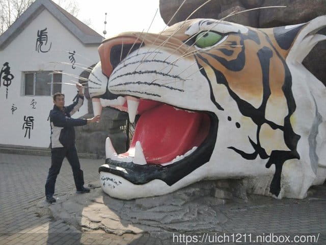哈爾濱之旅完結篇 - 第2張圖 哈爾濱之旅完結篇