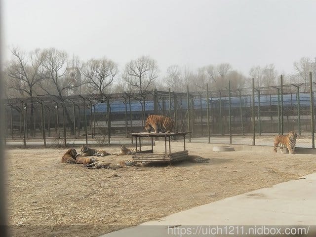 哈爾濱之旅完結篇 - 第13張圖 哈爾濱之旅完結篇