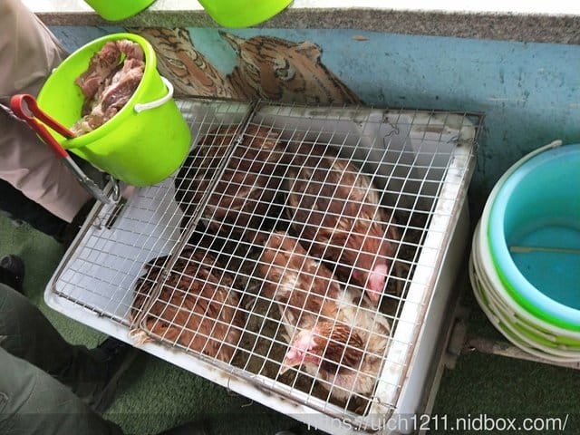 哈爾濱之旅完結篇 - 第14張圖 哈爾濱之旅完結篇