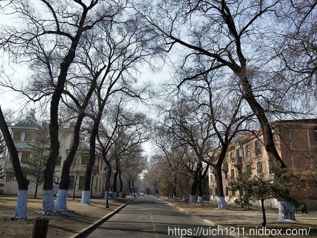 哈爾濱之旅完結篇 - 第24張圖 哈爾濱之旅完結篇