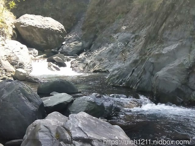 無名甘薯 - 第25張圖 無名甘薯