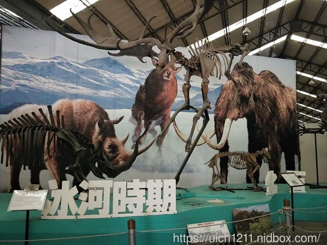 日光石頭博物館 - 第8張圖 日光石頭博物館