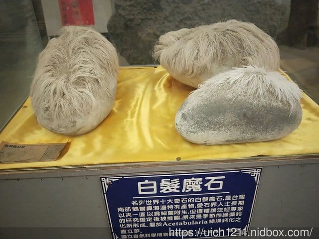日光石頭博物館 - 第21張圖 日光石頭博物館