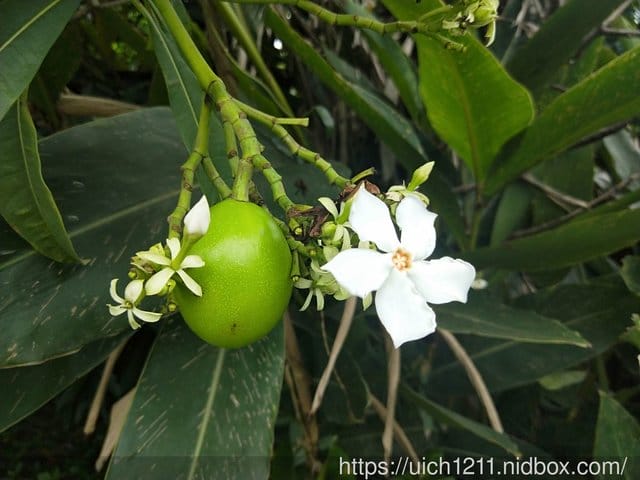 婆婆媽媽出遊趣 - 第29張圖 婆婆媽媽出遊趣