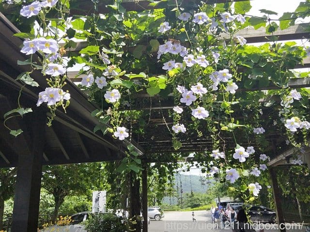 婆婆媽媽出遊趣 - 第20張圖 婆婆媽媽出遊趣