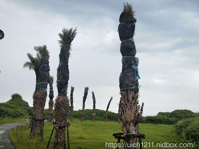 老梅石槽碧潭遊 - 第12張圖 老梅石槽碧潭遊