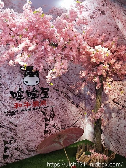 新北遊