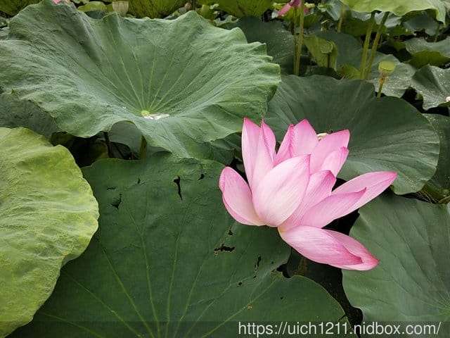 美雅家具觀光工廠 - 第25張圖 美雅家具觀光工廠